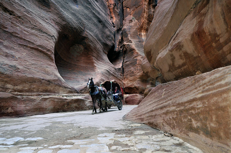 Petra day tour from Eilat